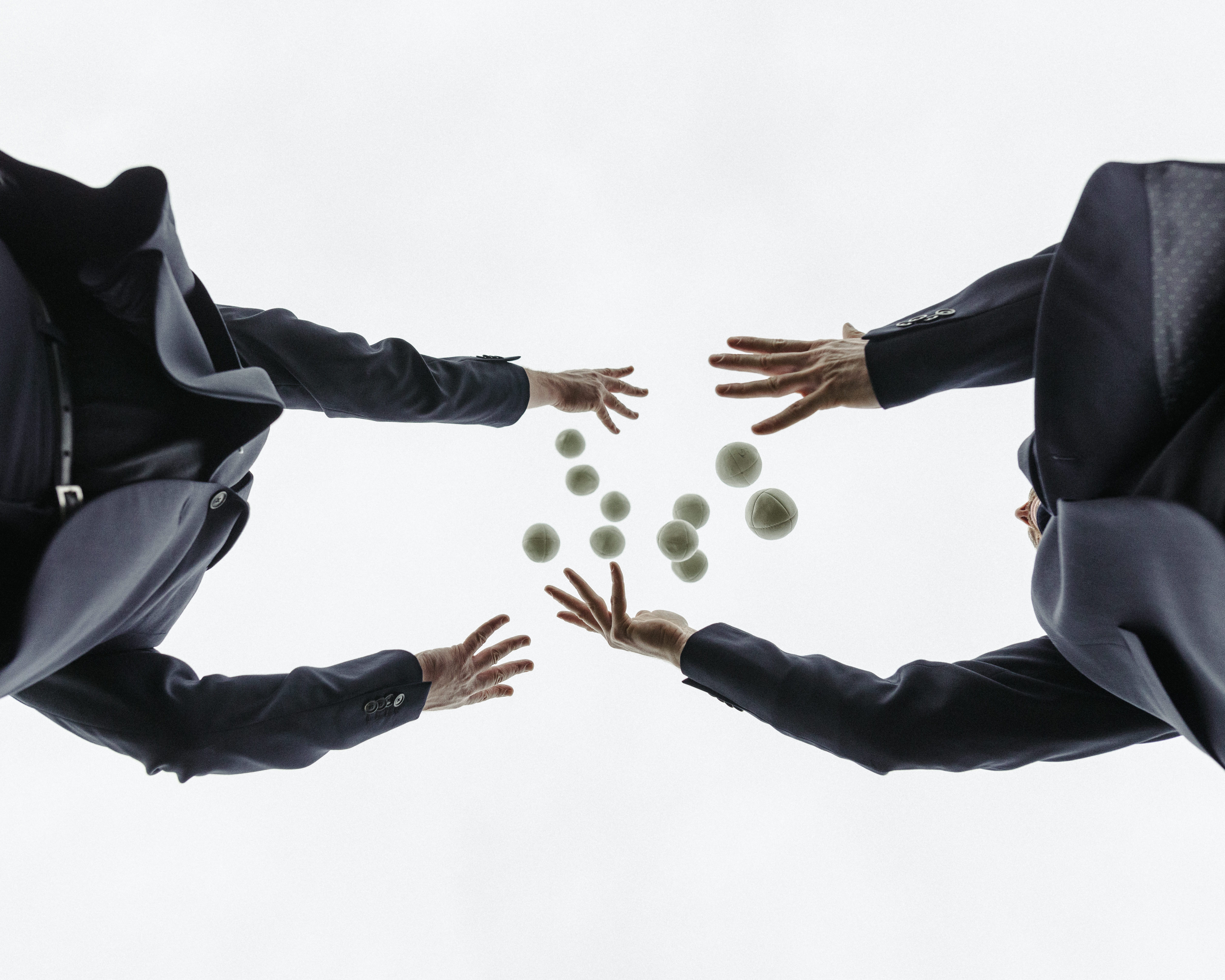 Patfield & Triguero 'Gibbon' © Stanislav Briza (SB69793)